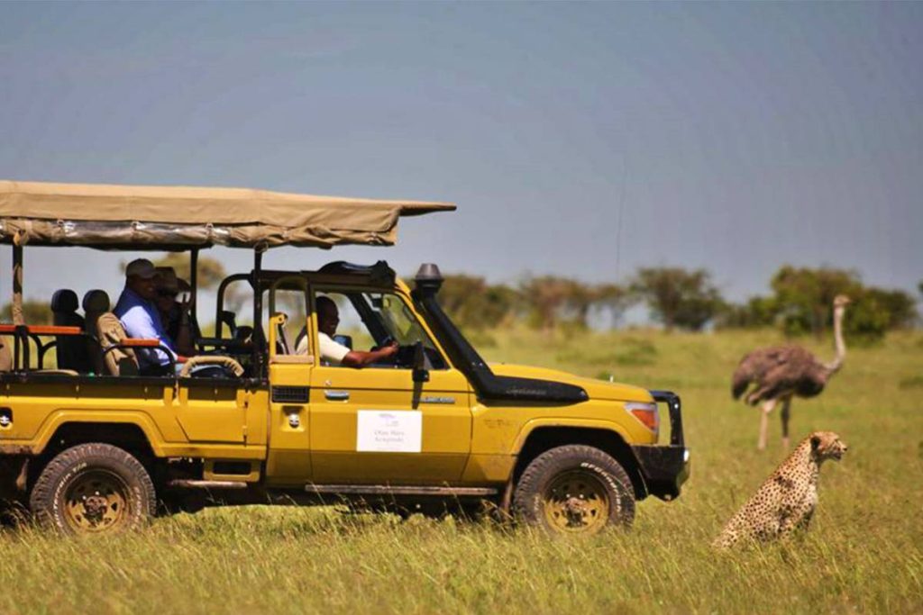 Explore the diverse landscapes and witness the unique wildlife at Samburu